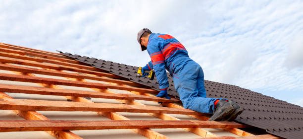 Best Skylight Installation and Repair  in Evansville, IN