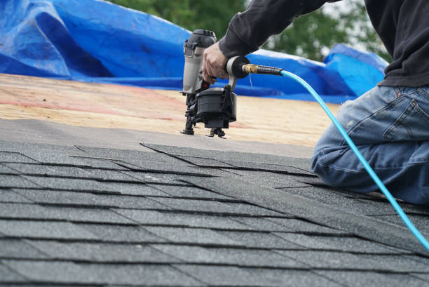 Best Metal Roofing Installation  in Evansville, IN