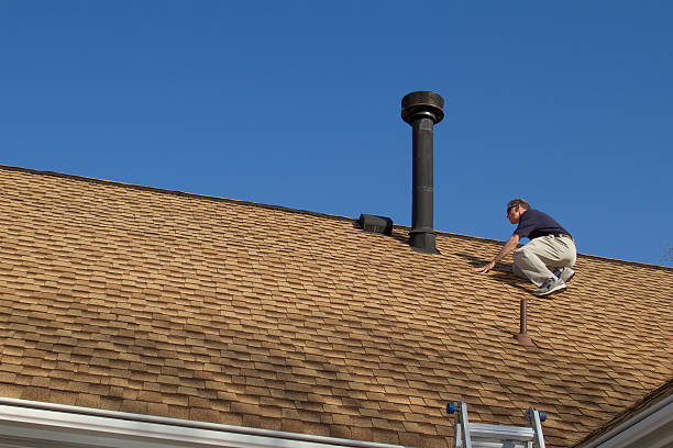Best Roof Moss and Algae Removal  in Evansville, IN
