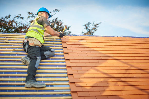Best Commercial Roofing Services  in Evansville, IN